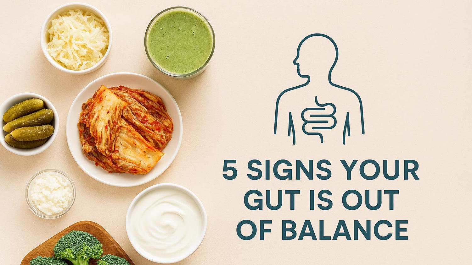 Fermented and fresh foods for gut health including sauerkraut, kimchi, pickles, yogurt, and broccoli with human gut illustration and text '5 Signs Your Gut is Out of Balance'